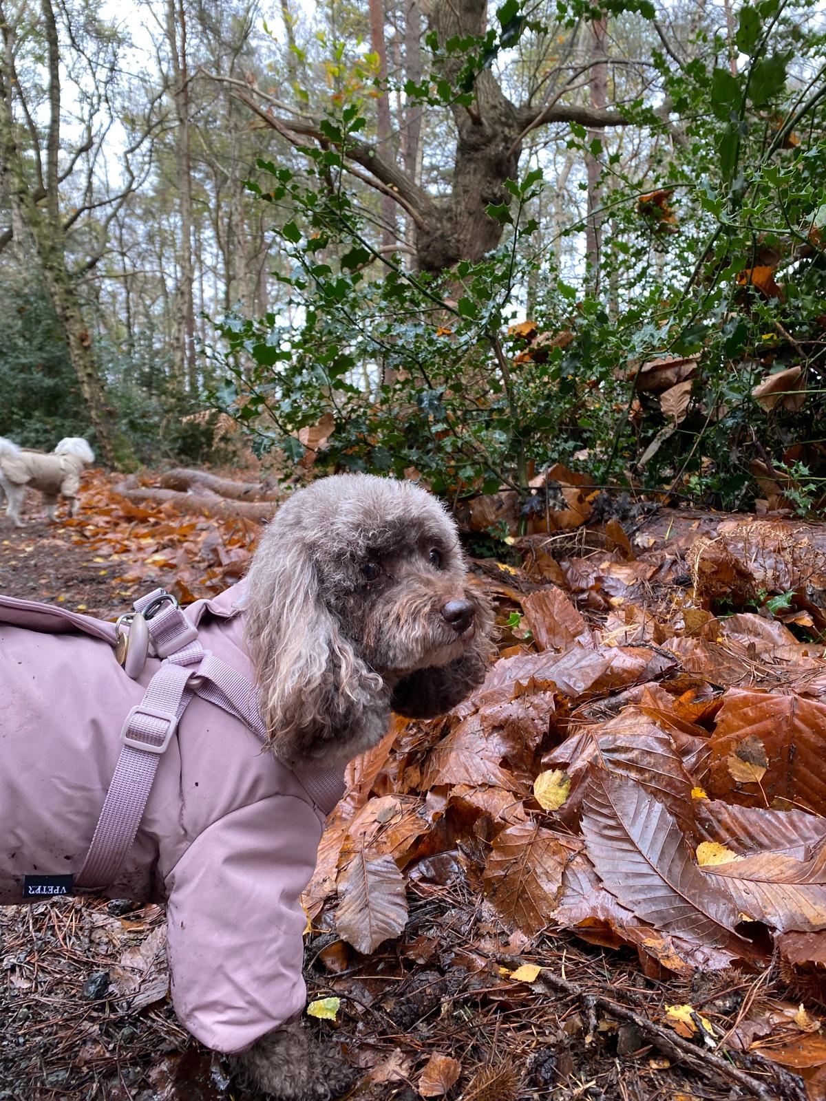 Winter Waterproof Storm Coat