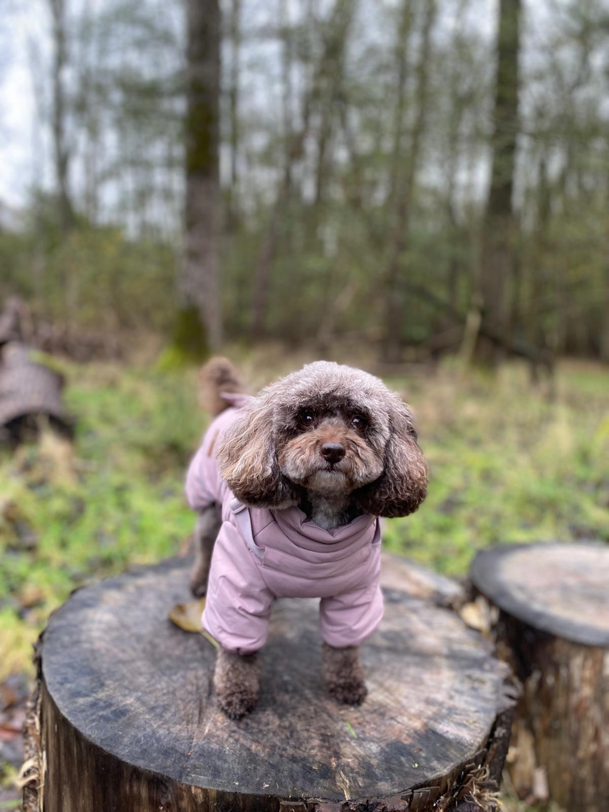 Winter Waterproof Storm Coat