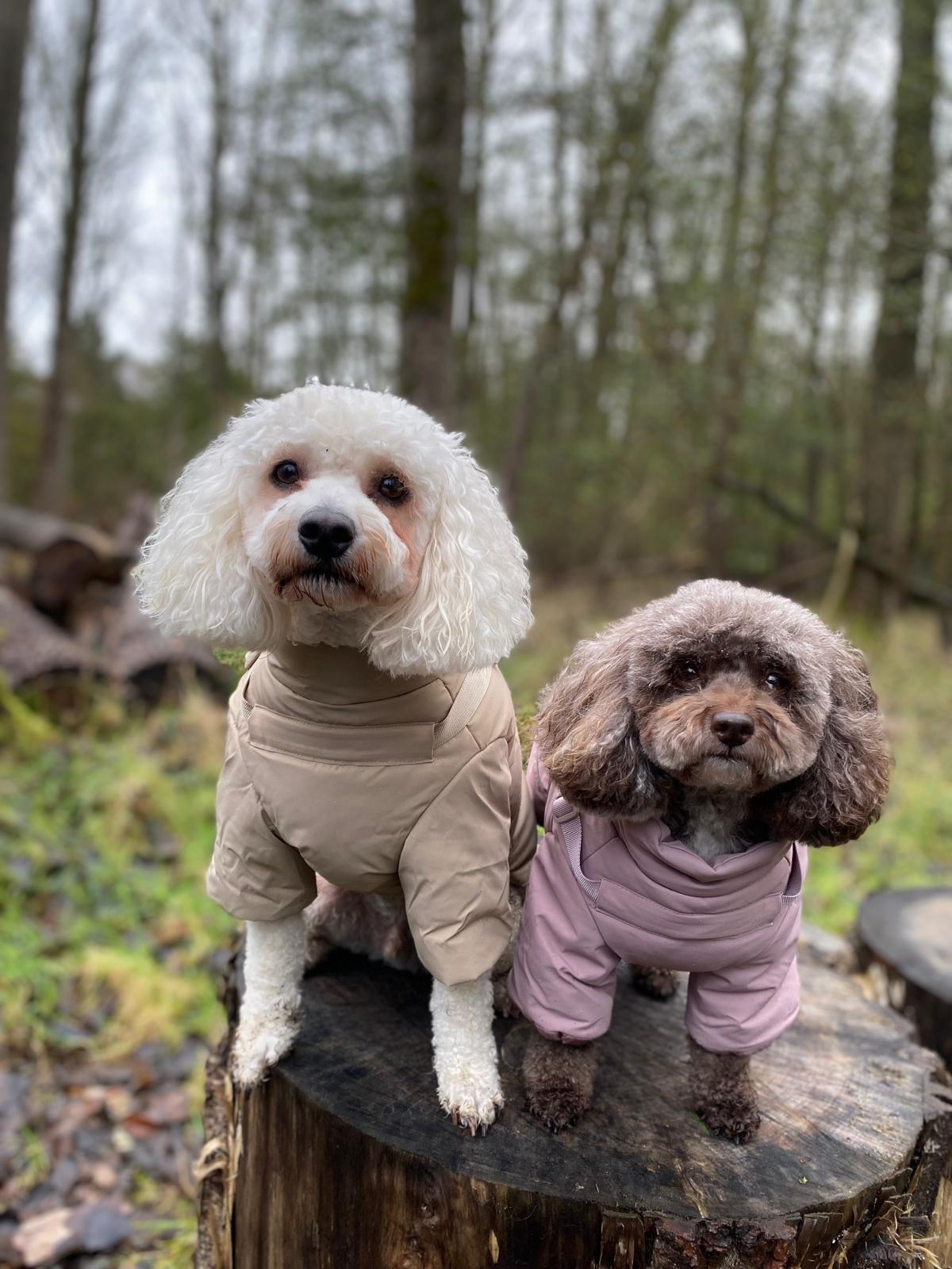 Winter Waterproof Storm Coat