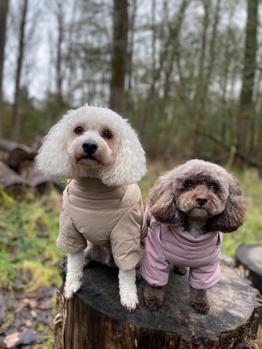 Winter Waterproof Storm Coat