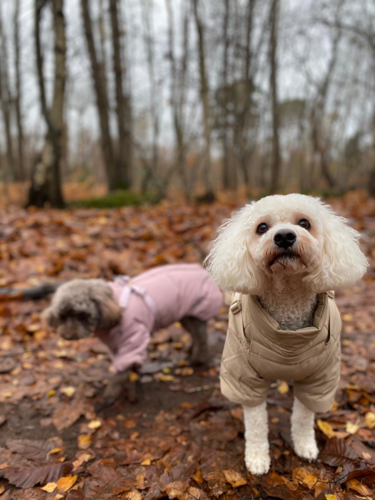 Winter Waterproof Storm Coat