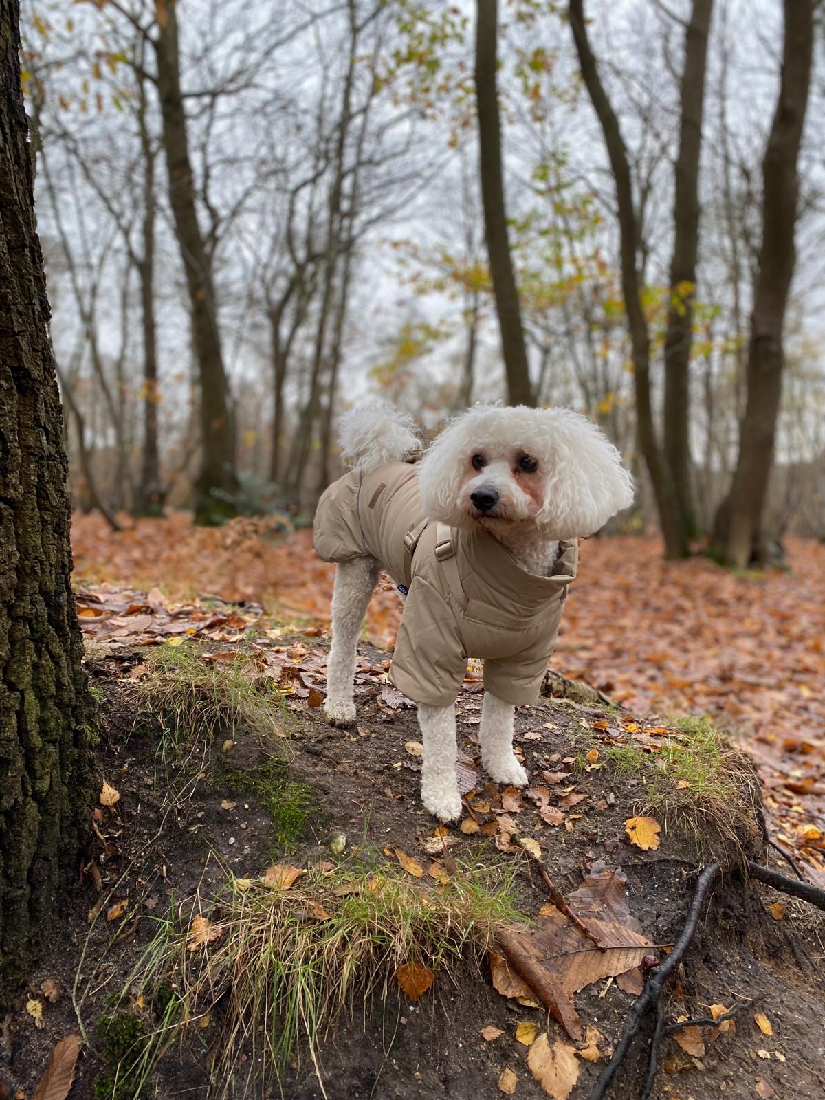 Winter Waterproof Storm Coat