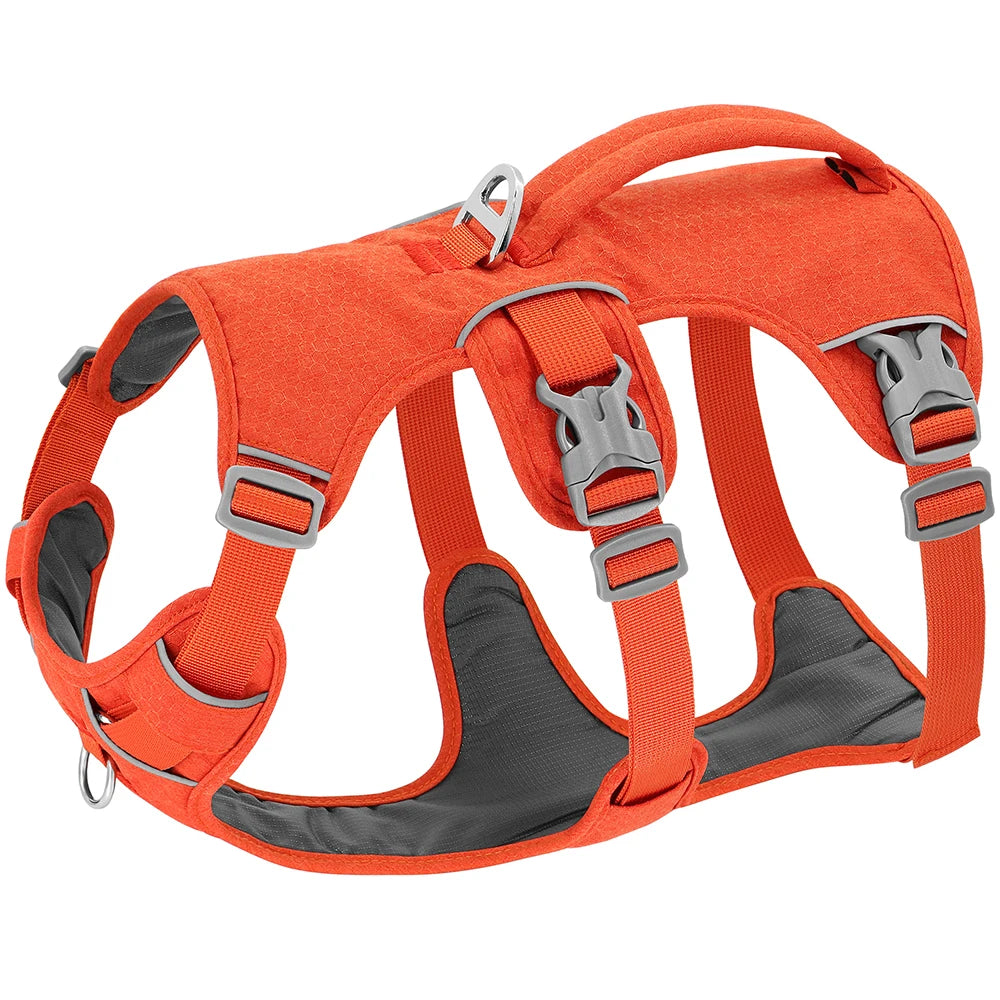 Durable Dog Harness