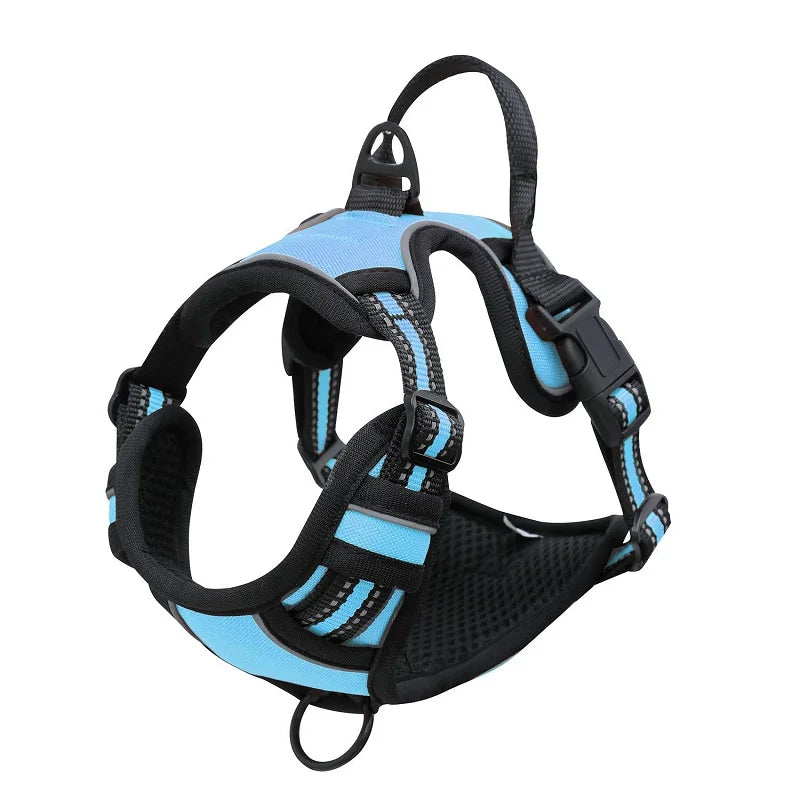 Padded and Reflective Harness