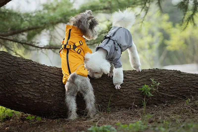 Waterproof Rain Jacket with Harness