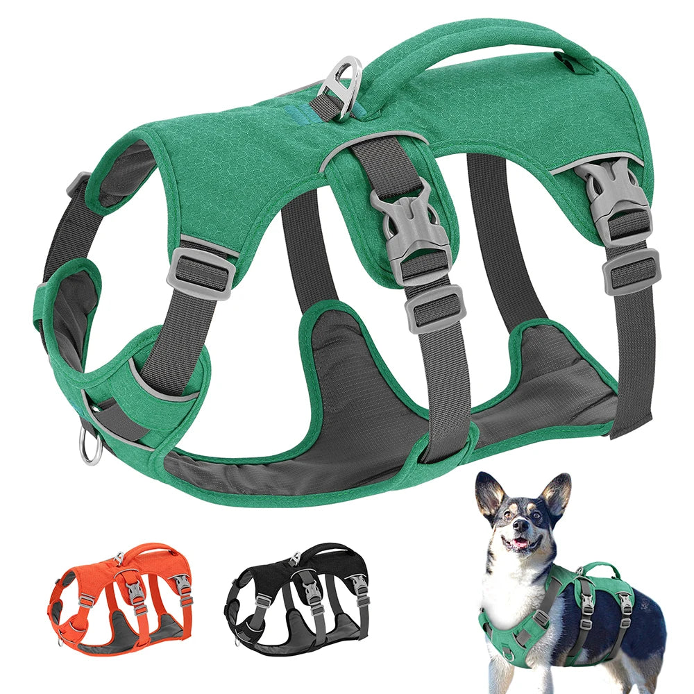 Durable Dog Harness