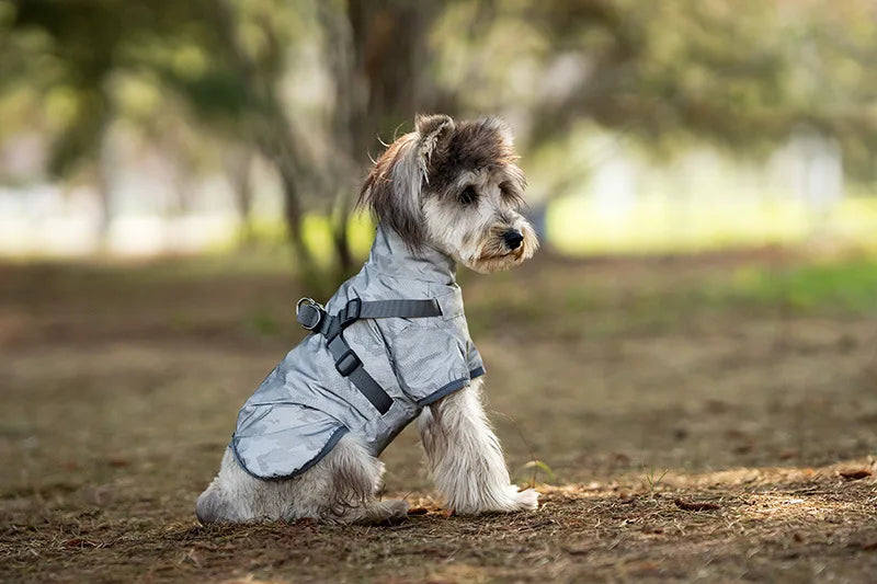 Waterproof Rain Jacket with Harness