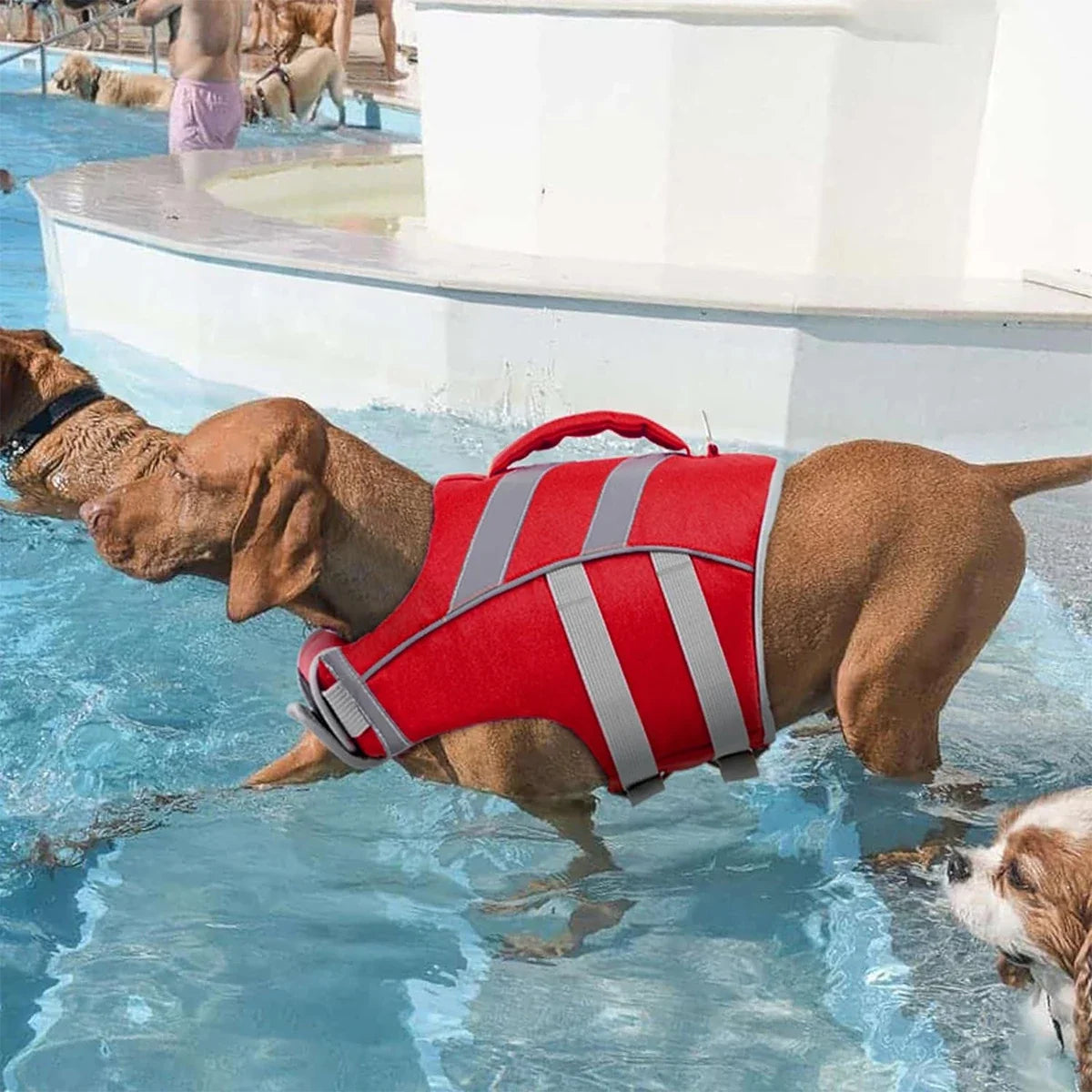 Premium Dog Life Jackets with Reflective Stripes