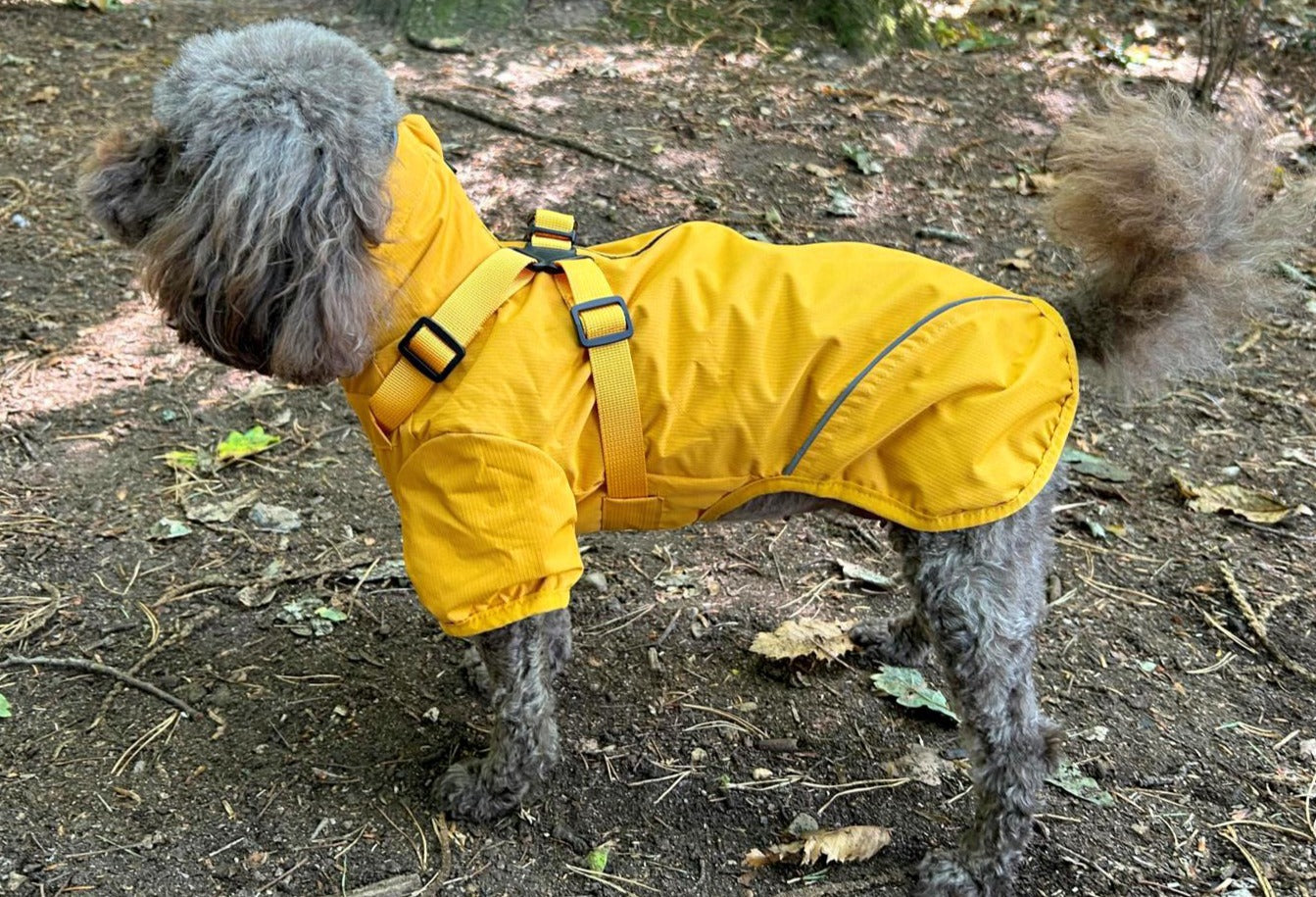 Waterproof Rain Jacket with Harness