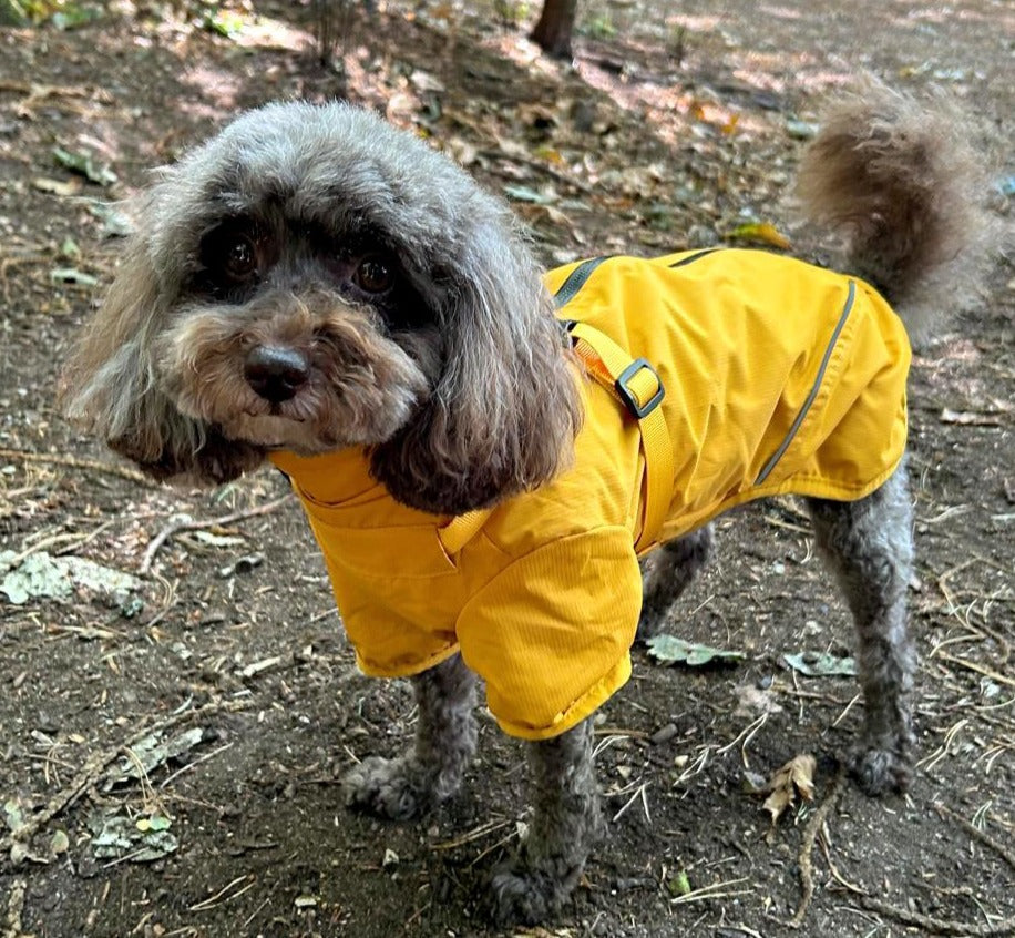 Waterproof Rain Jacket with Harness