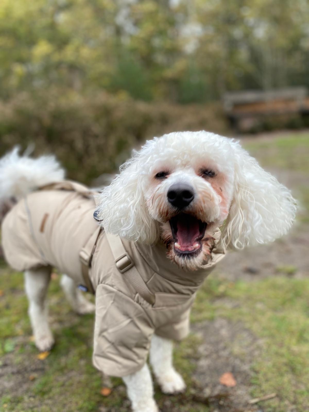Winter Waterproof Storm Coat